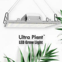 Programmierbares Grow Light, dimmbare LED